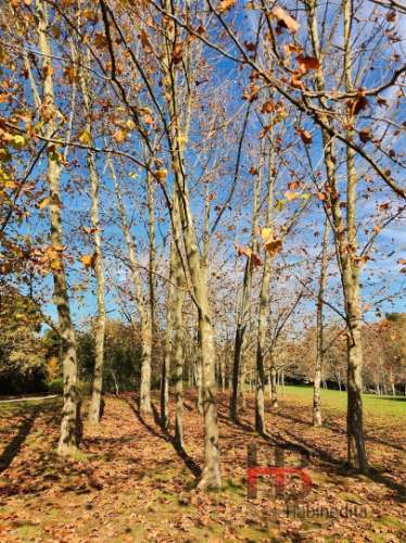 Moradia T3 Venda em São João da Madeira,São João da Madeira