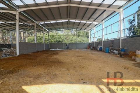 Armazém  Venda em Grijó e Sermonde,Vila Nova de Gaia