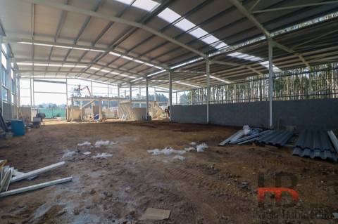 Armazém  Venda em Grijó e Sermonde,Vila Nova de Gaia