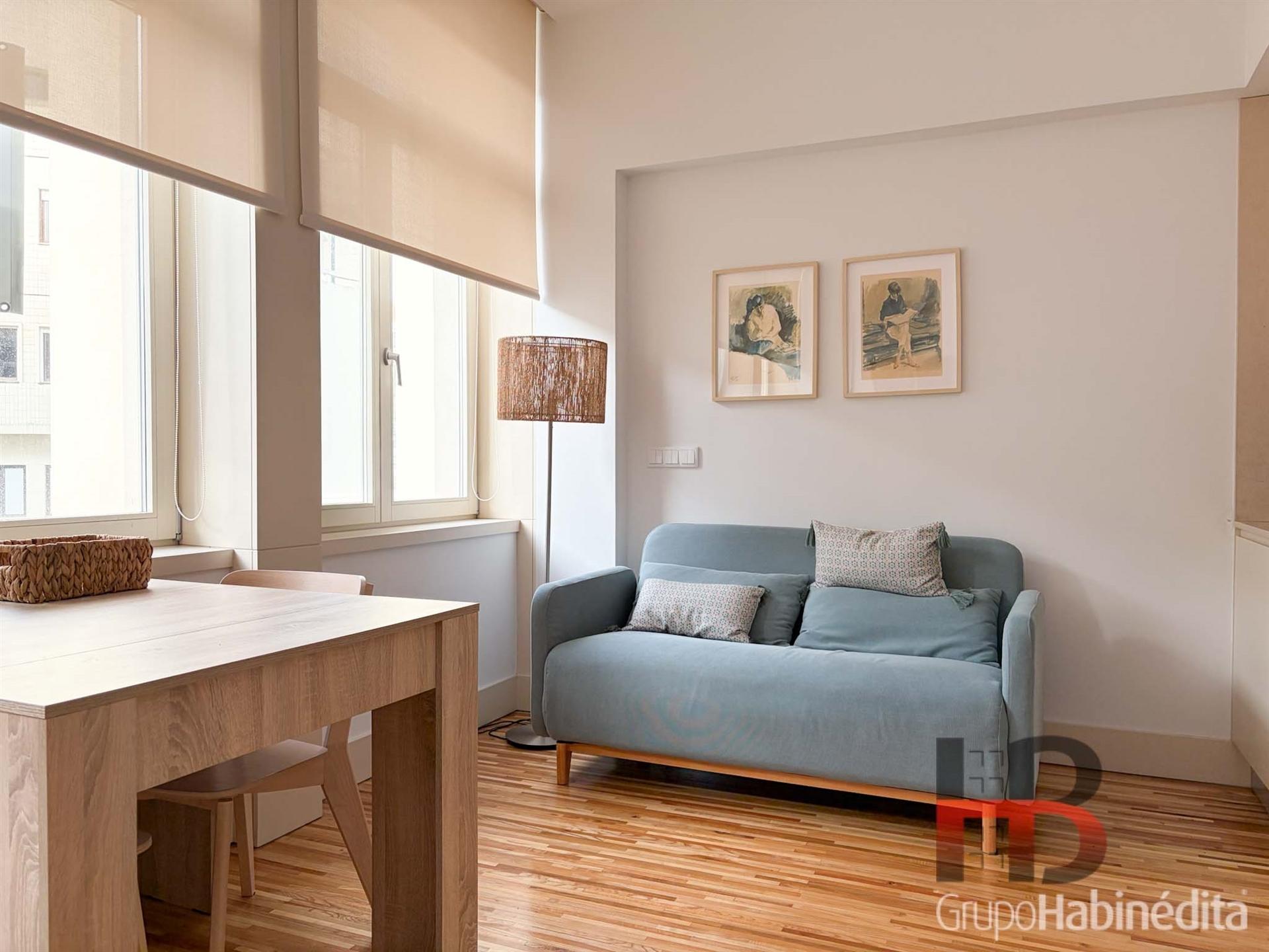 Apartamento T1 Arrendamento em Cedofeita, Santo Ildefonso, Sé, Miragaia, São Nicolau e Vitória,Porto