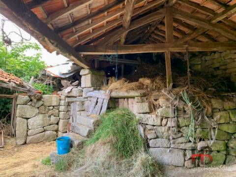 Quinta T5 Venda em Alcofra,Vouzela