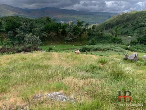 Quinta T5 Venda em Alcofra,Vouzela