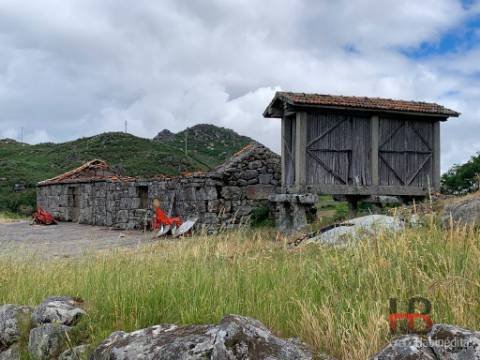 Quinta T5 Venda em Alcofra,Vouzela