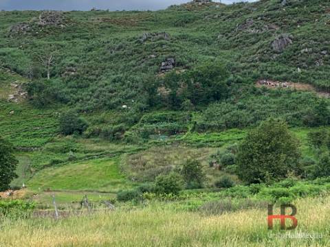 Quinta T5 Venda em Alcofra,Vouzela