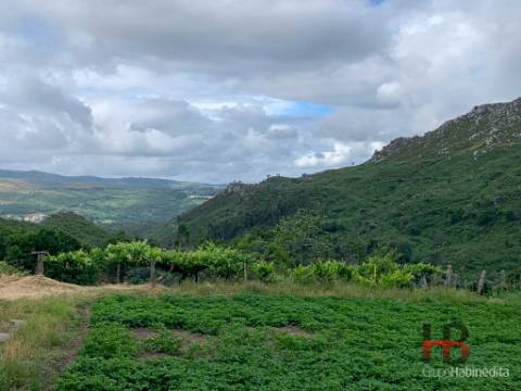 Quinta T5 Venda em Alcofra,Vouzela