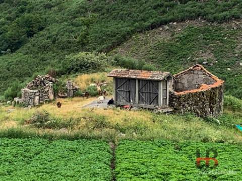 Quinta T5 Venda em Alcofra,Vouzela