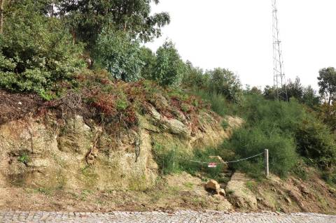 Terreno rústico com 7.028 m2 em Tagilde, Vizela.
