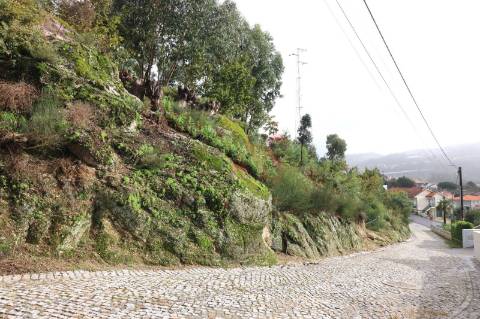 Terreno rústico com 7.028 m2 em Tagilde, Vizela.