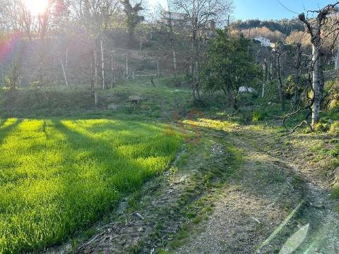 Moradia T2 para restauro em São Faustino, Guimarães