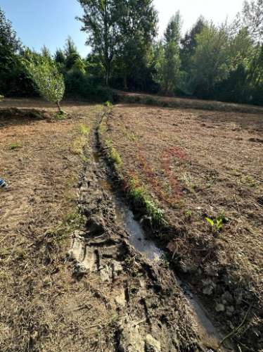 Terreno rústico com 3.585 m2 m São Jorge de Vizela, Felgueiras