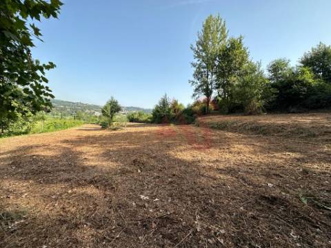 Terreno rústico com 3.585 m2 m São Jorge de Vizela, Felgueiras