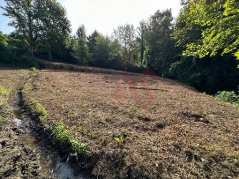 Terreno rústico com 3.585 m2 m São Jorge de Vizela, Felgueiras