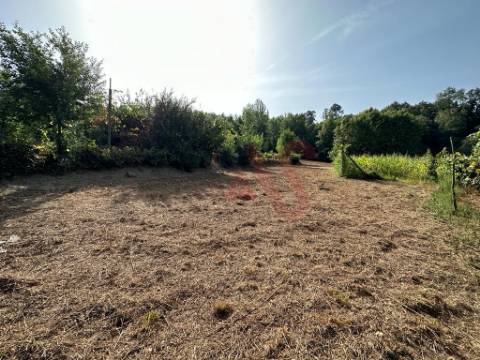 Terreno rústico com 3.585 m2 m São Jorge de Vizela, Felgueiras