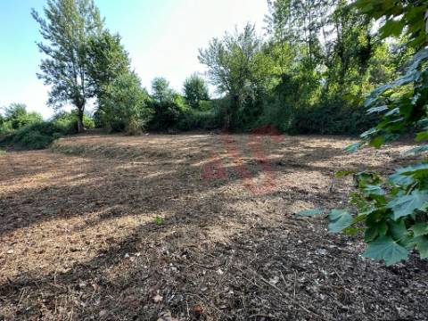 Terreno rústico com 3.585 m2 m São Jorge de Vizela, Felgueiras