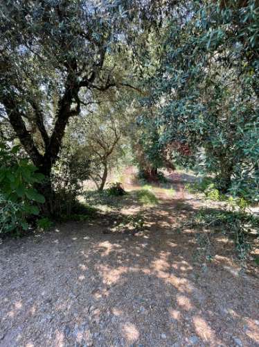 Terreno com 14.908m2 em Macieira da Lixa, Felgueiras