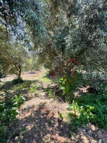 Terreno com 14.908m2 em Macieira da Lixa, Felgueiras