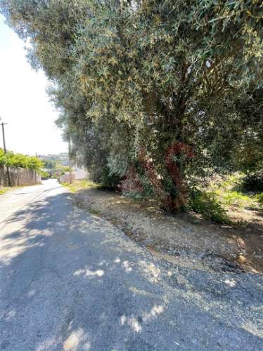 Terreno com 14.908m2 em Macieira da Lixa, Felgueiras