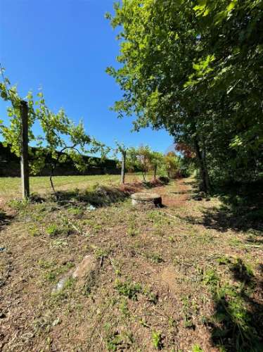 Terreno com 14.908m2 em Macieira da Lixa, Felgueiras