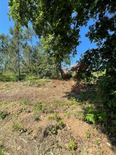 Terreno com 14.908m2 em Macieira da Lixa, Felgueiras