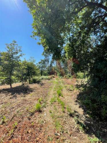 Terreno com 14.908m2 em Macieira da Lixa, Felgueiras