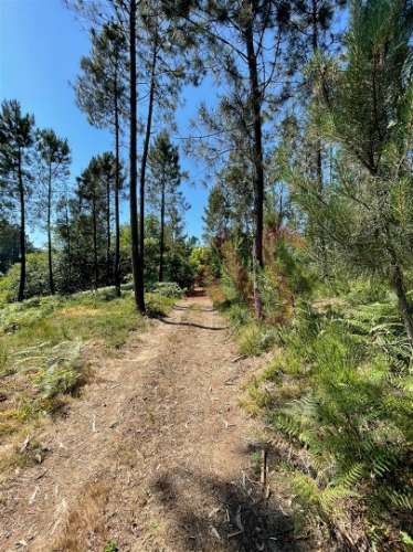 Terreno com 14.908m2 em Macieira da Lixa, Felgueiras