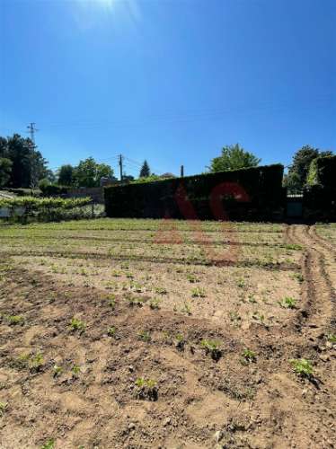 Terreno com 14.908m2 em Macieira da Lixa, Felgueiras