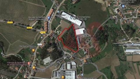 Terreno com 14.908m2 em Macieira da Lixa, Felgueiras