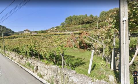 Terreno com 4.500m2 em S. M. Zêzere, Baião.