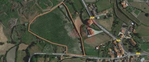 Terreno com 16.635m2 em Gôve, Baião.