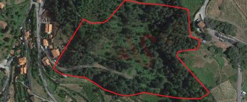 Terreno agrícola com 38.890m2 em S. M. Zêzere, Baião.