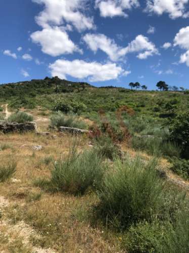 Quinta com Capela com 39.018,00m2&#8203;&#8203;&#8203;&#8203;&#8203;&#8203;&#8203; em Telhe, Soalhães, Marco de Canaveses.