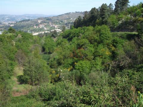 Terreno para agricultura com 10.090m2 em Soalhães, Marco de Canaveses.