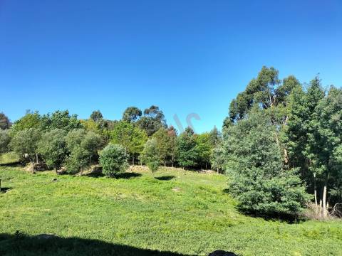 Terreno para construção com 5.361,77m2 em Santa Eulália, Vizela