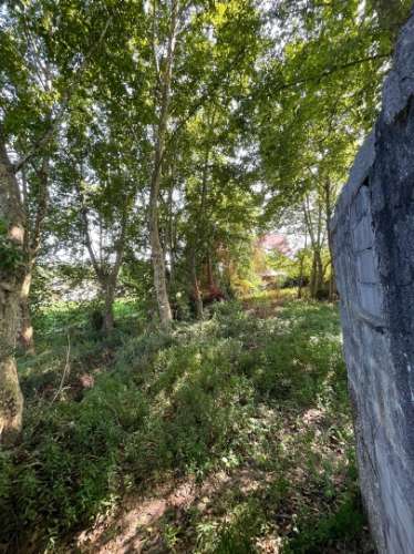 Moradia em Ruínas em Cernadelo, Lousada