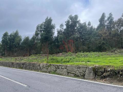 Terreno para construção com 38.934m2 em Nespereira, Lousada