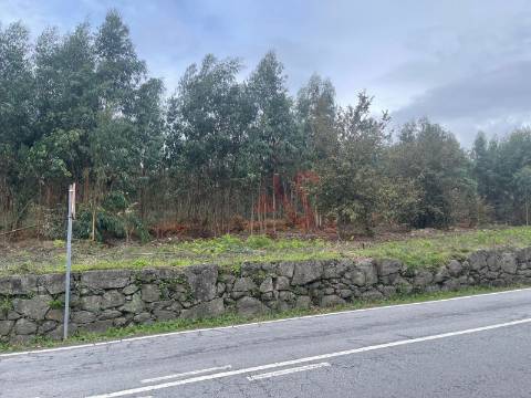 Terreno para construção com 38.934m2 em Nespereira, Lousada