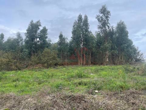 Terreno para construção com 38.934m2 em Nespereira, Lousada