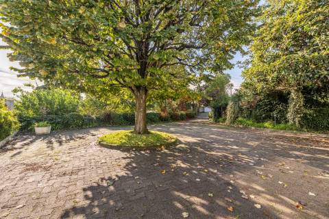 Moradia T5 de LUXO com Piscina e Jardim para Arrendamento no centro de Vizela