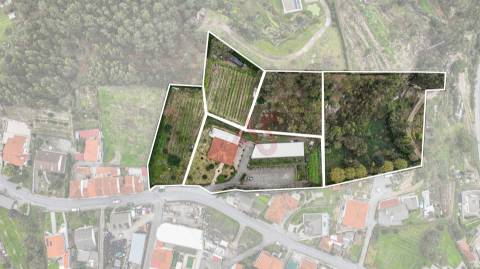 Quinta do Tonel - Uma Propriedade Única em Guimarães