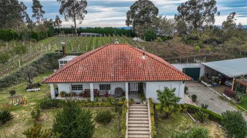 Quinta do Tonel - Uma Propriedade Única em Guimarães