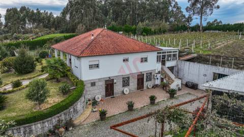 Quinta do Tonel - Uma Propriedade Única em Guimarães