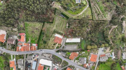 Quinta do Tonel - Uma Propriedade Única em Guimarães