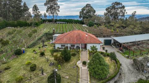 Quinta do Tonel - Uma Propriedade Única em Guimarães