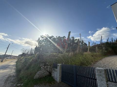 Terreno para Construção ou Exploração Agrícola com 5.000 m² em Unhão, Felgueiras