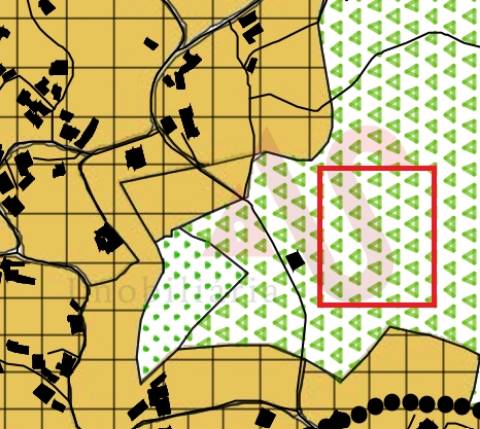 Terreno rústico com 8.000m2 em Lustosa, Lousada