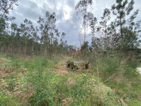Terreno rústico com 8.000m2 em Lustosa, Lousada