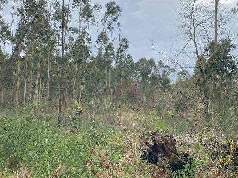 Terreno rústico com 8.000m2 em Lustosa, Lousada