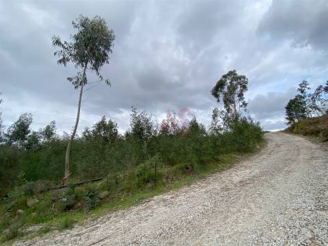 Terreno Rústico de construção com 2.135m2 em Lustosa, Lousada