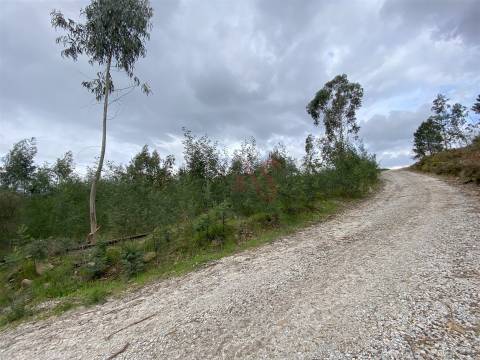 Terreno Rústico de construção com 2.135m2 em Lustosa, Lousada