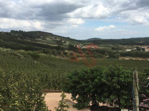 Quinta com 10 hectares em Alguber, Cadaval